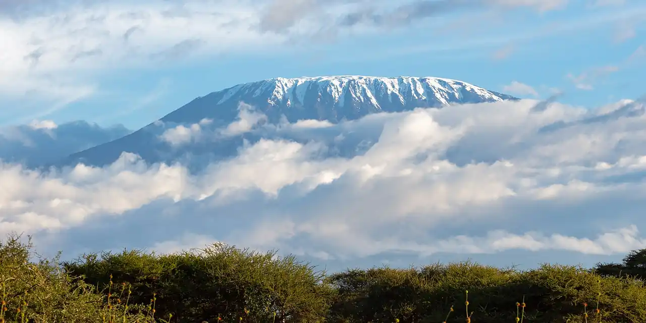 Uitzicht op Kilimanjaro (Arusha)