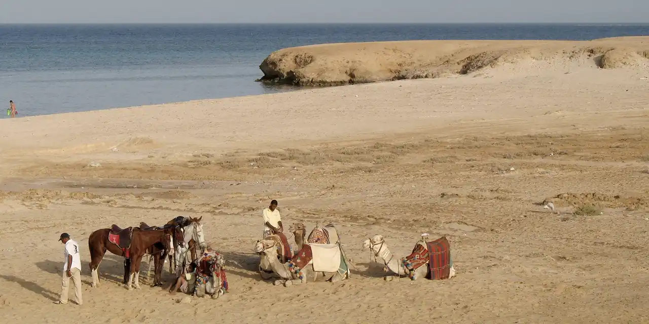 Uitzicht op Marsa Alam